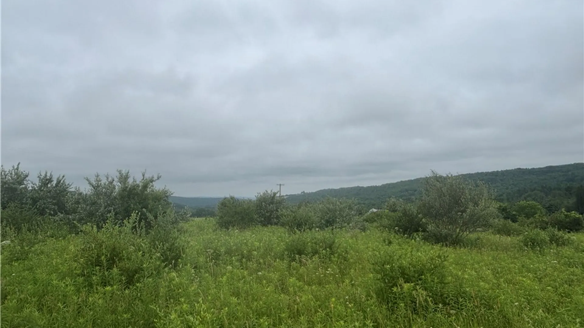 Property at Lot 1 County Route 46, Dansville, NY 14437 8