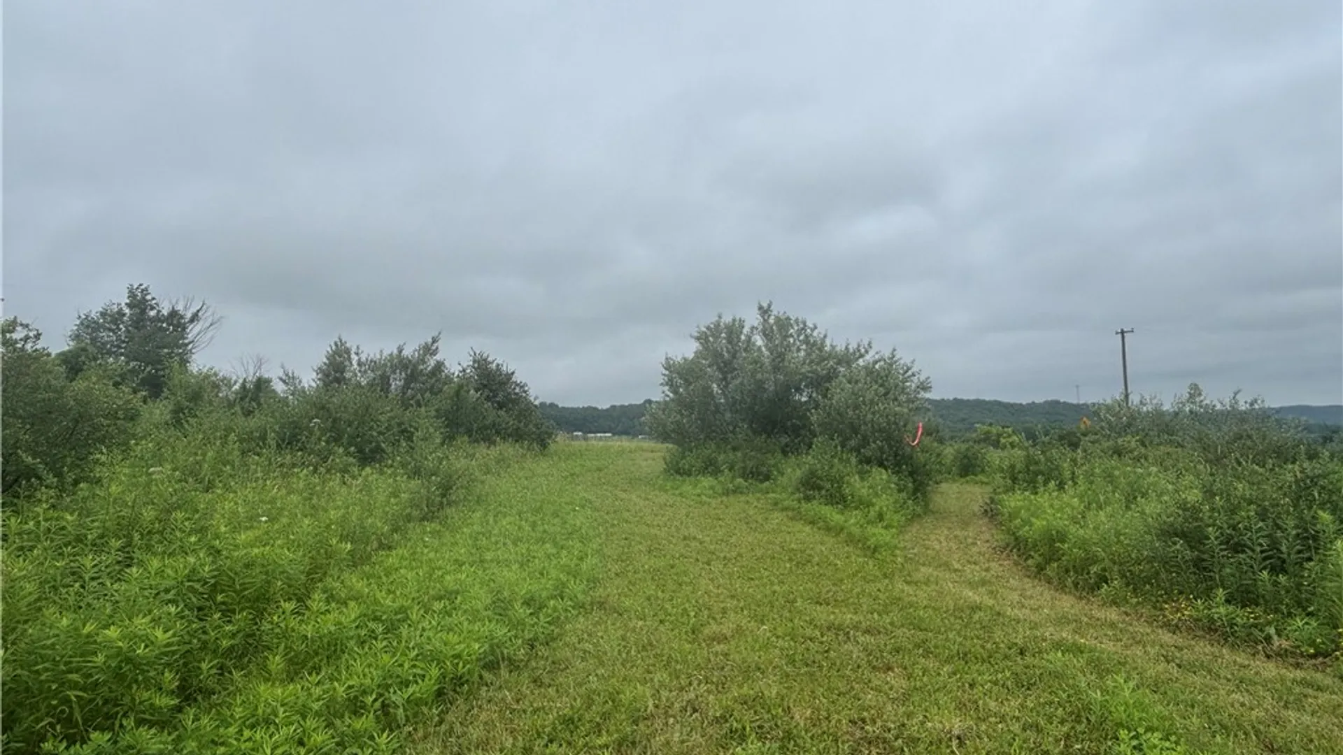 Property at VL Lot 2 County Route 46, Dansville, NY 14437 10