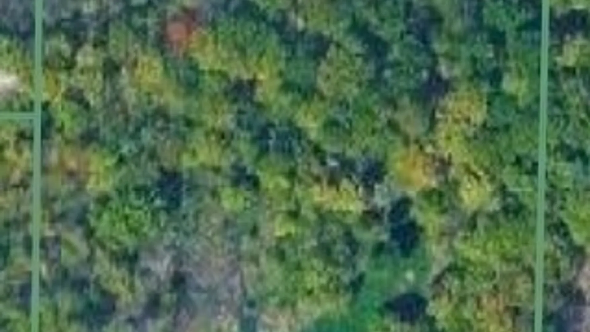 Property at 2367 Ellicott Road, Caledonia, NY 14423 38