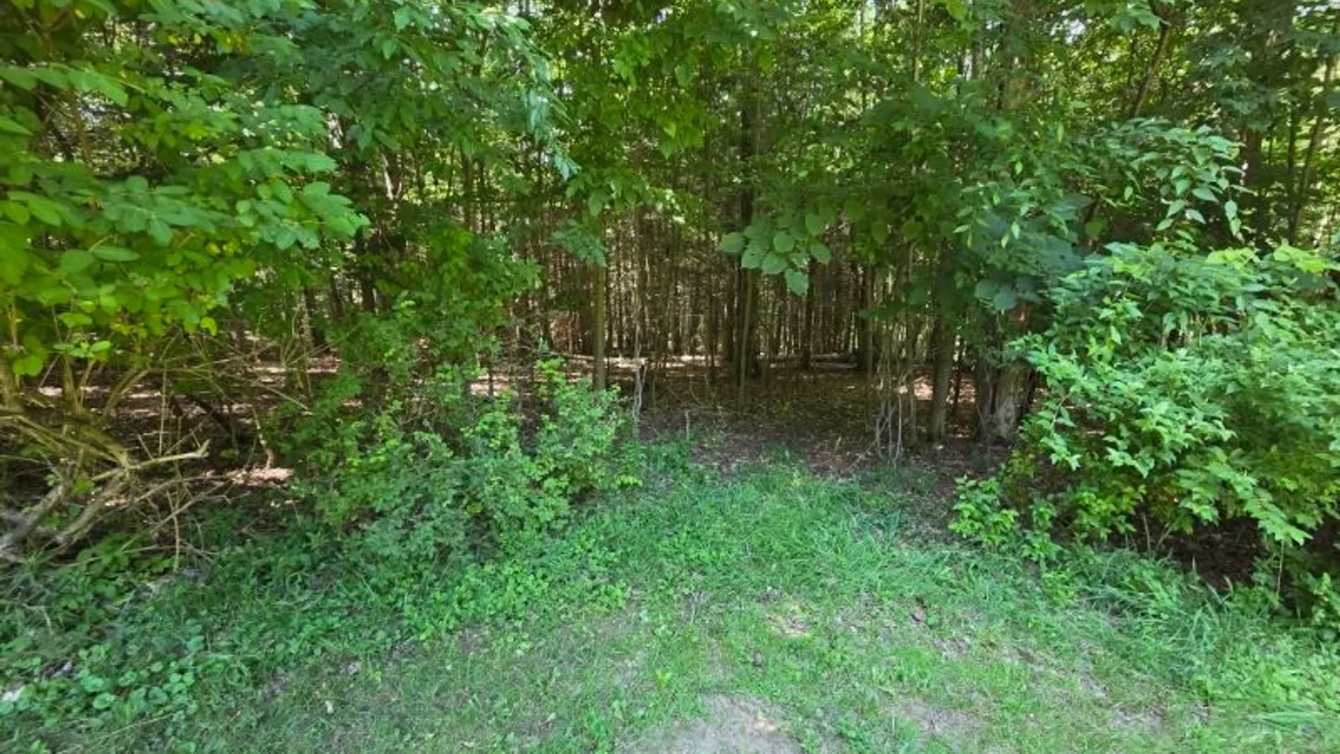 Property at 5351 Middle Road, Bath, NY 14810 9