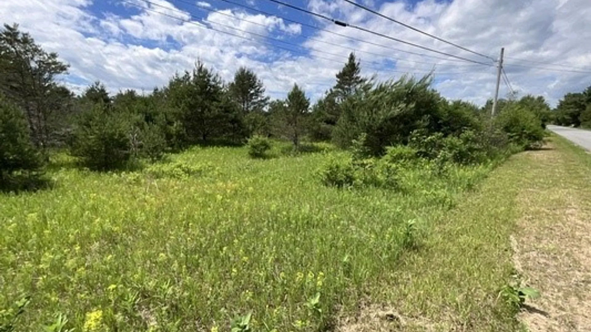 Property at Rt-812, Pitcairn, NY 13648 2
