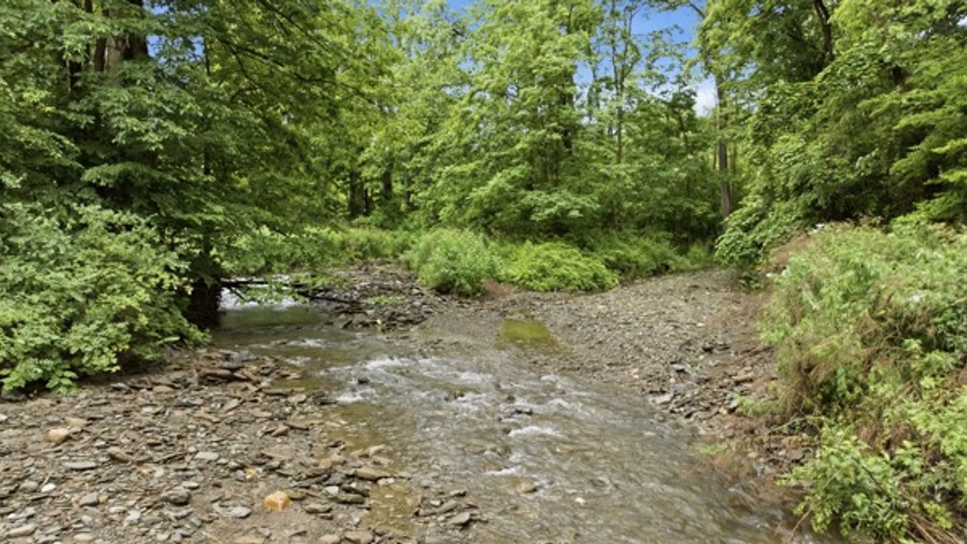 Property at 6070 Italy Valley Road, Italy, NY 14512 2