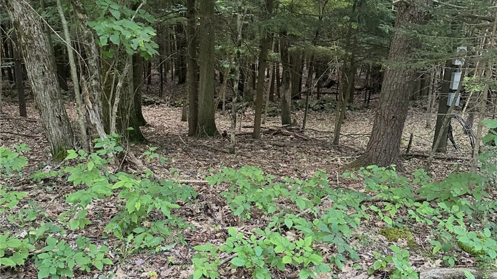 Property at Deer Path, Jefferson, NY 12167 2