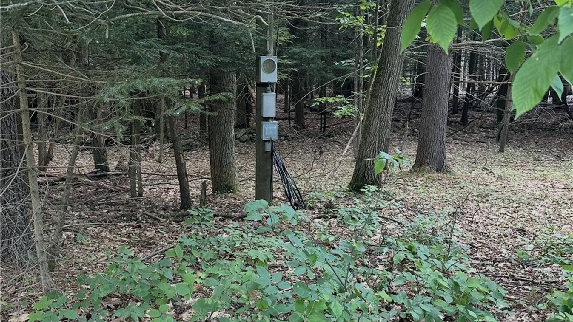 Property at Deer Path, Jefferson, NY 12167 3
