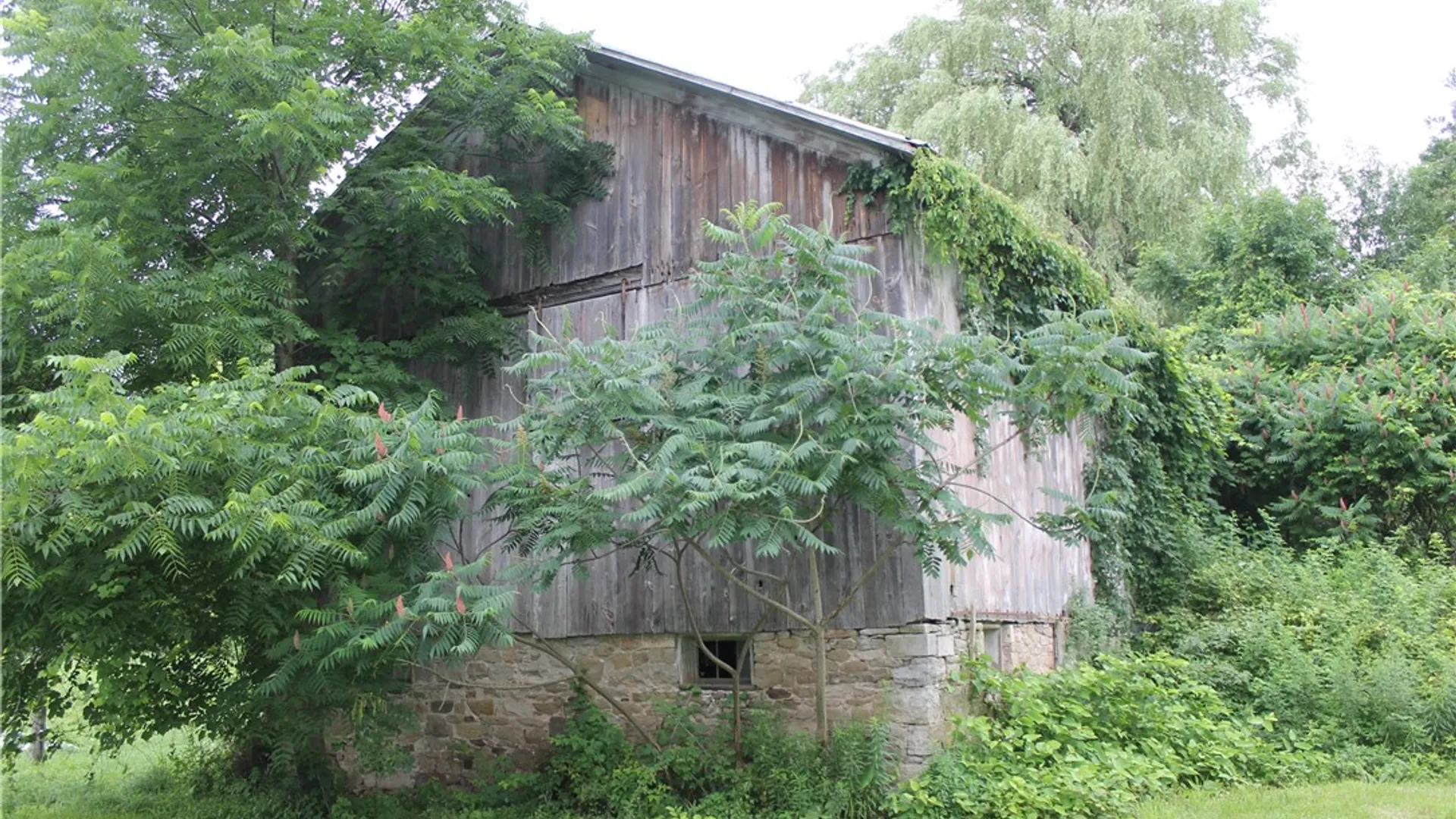 Property at 411 White Road, Sweden, NY 14420 25