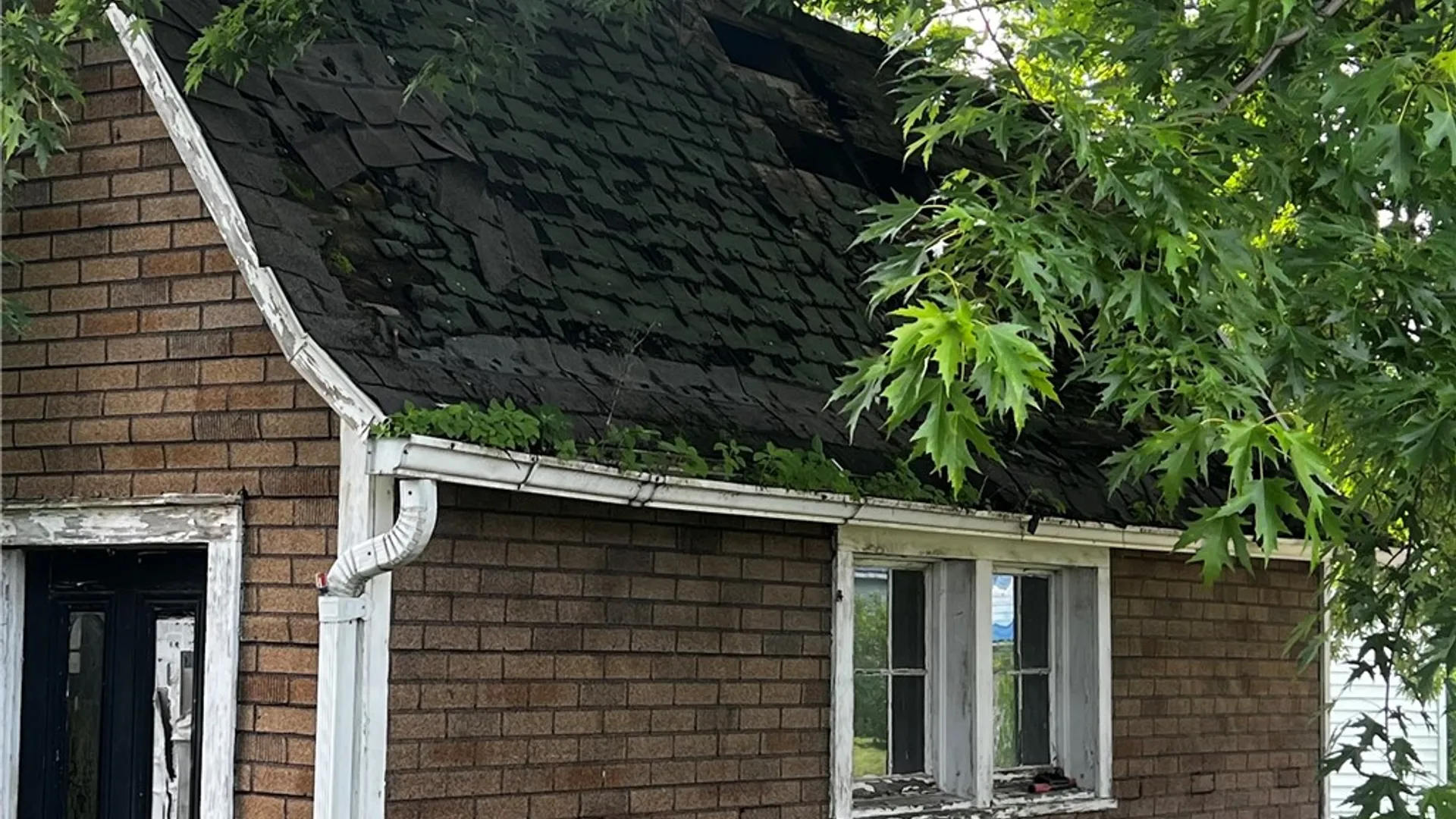 Property at 557 Coburn Street, Elmira City, NY 14904 12