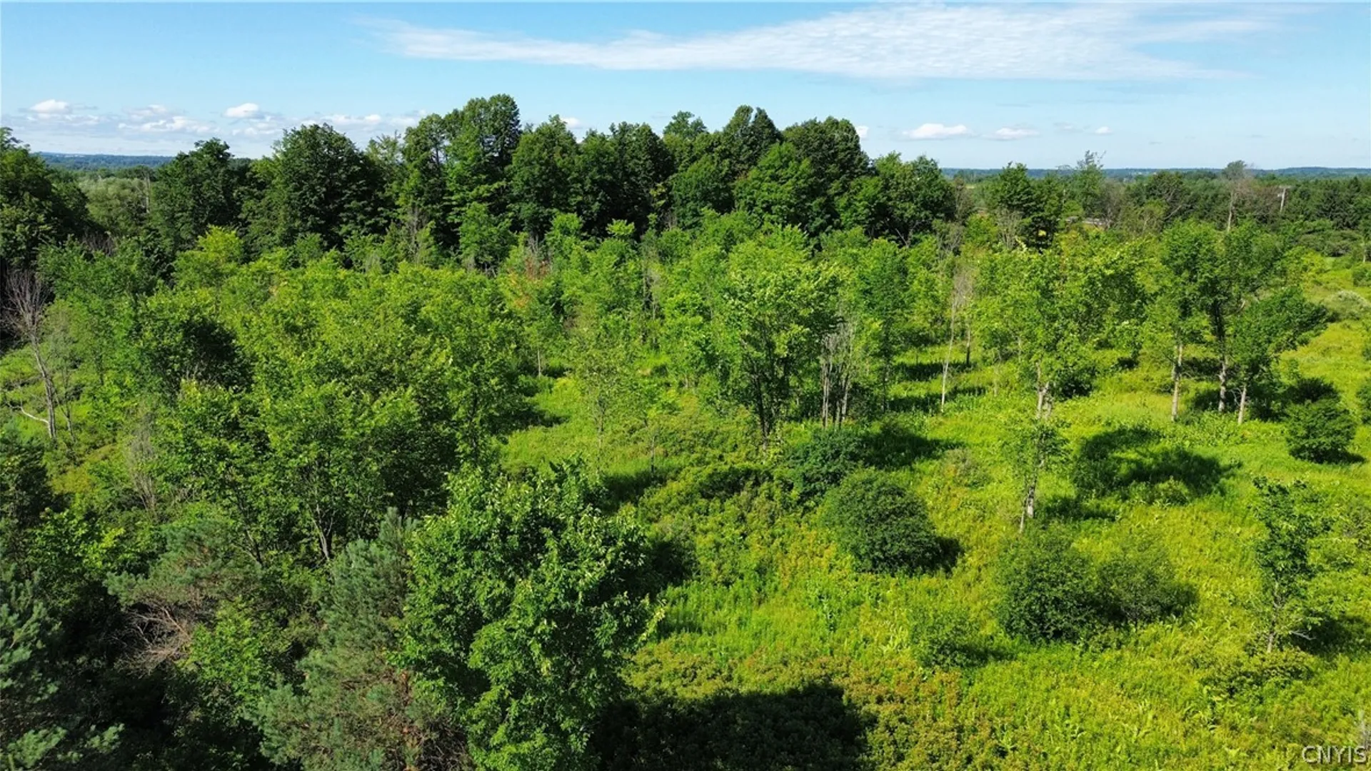 Property at Rockbrook Road, Le Ray, NY 13637 2