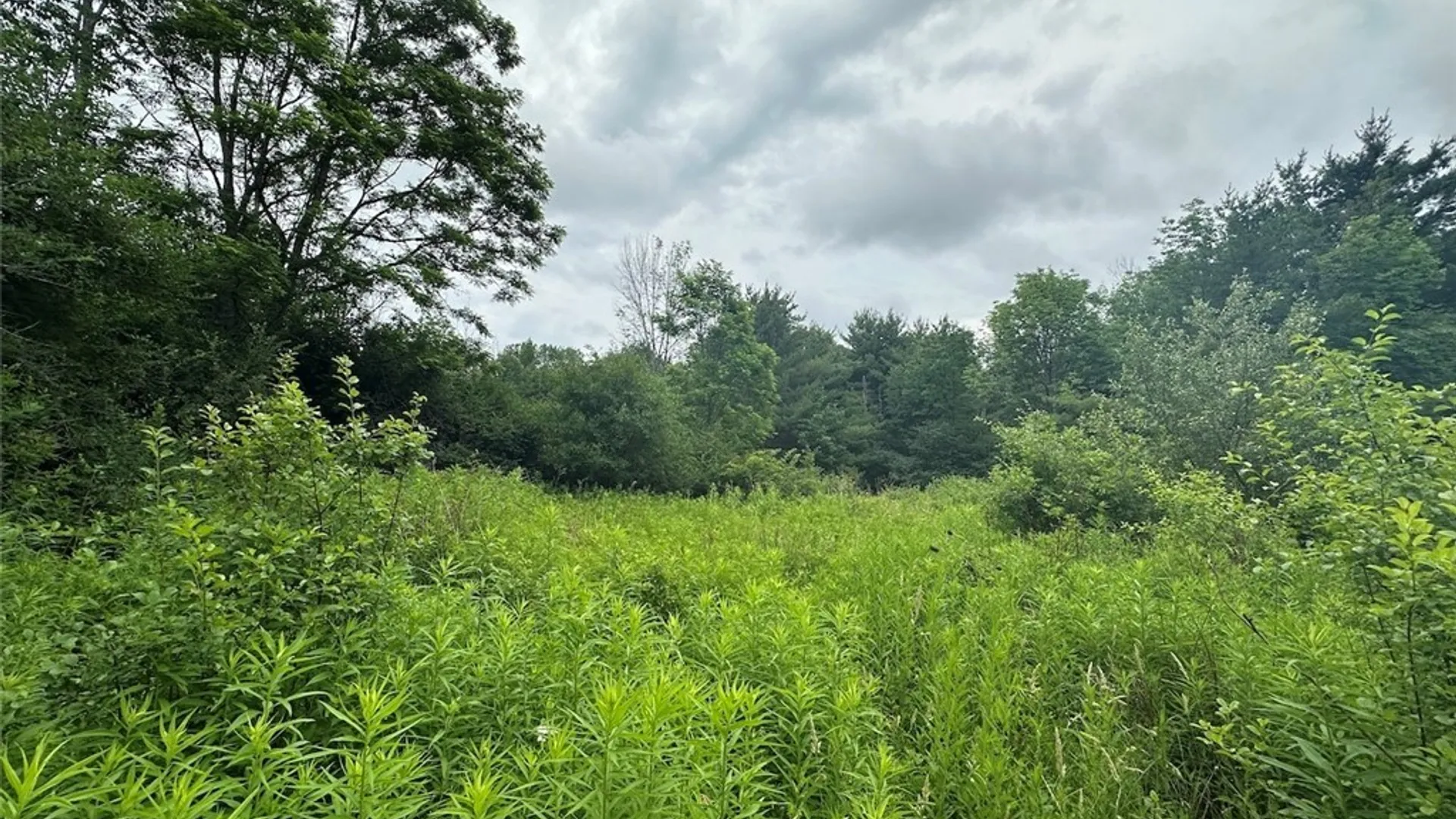 Property at Flat Iron Road, Granger, NY 14846 2
