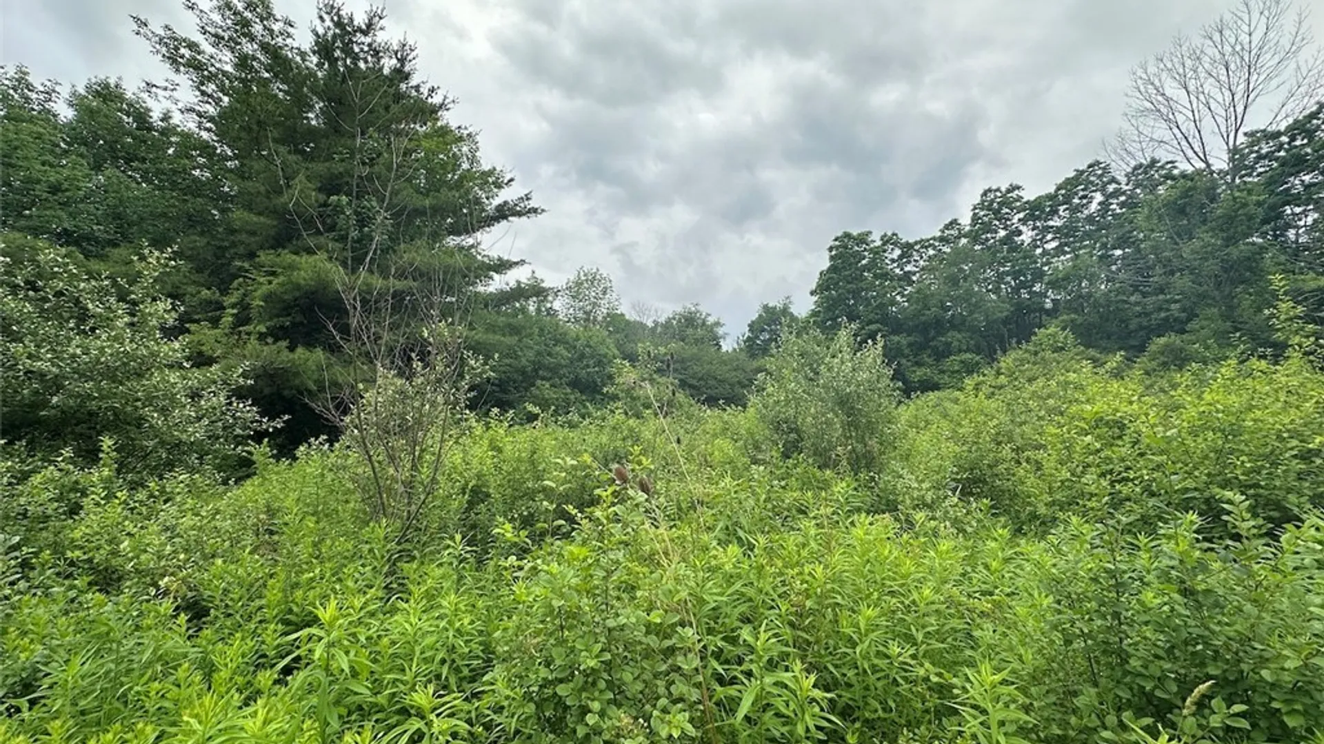 Property at Flat Iron Road, Granger, NY 14846 3