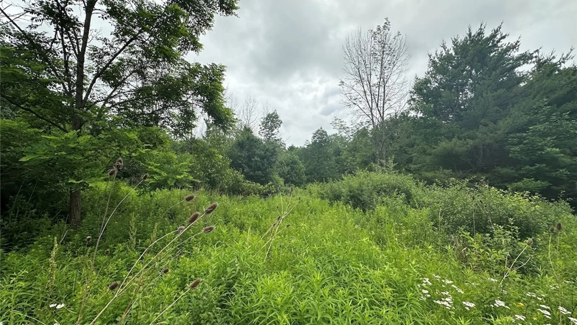 Property at Flat Iron Road, Granger, NY 14846 4