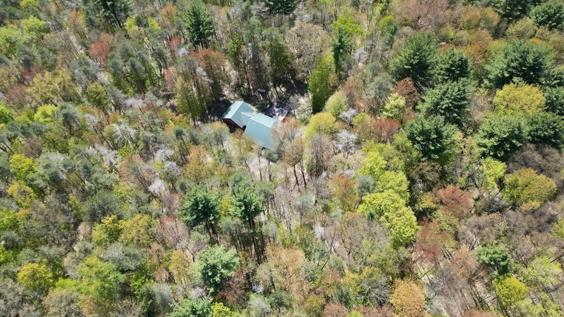 Property at 657 County Route 48, Albion, NY 13302 4