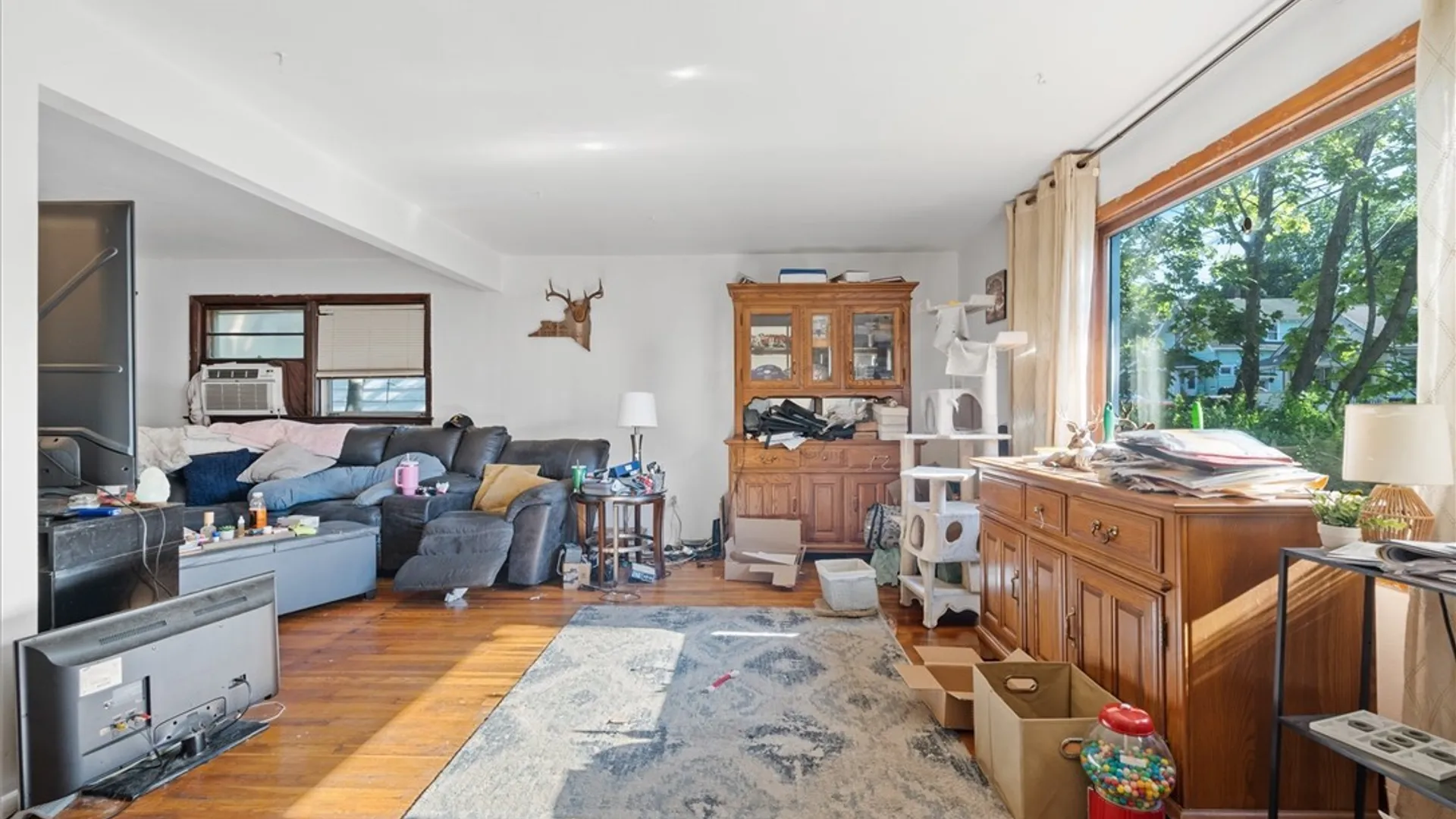 Property at 145 S Collingwood Avenue, Syracuse, NY 13206 7