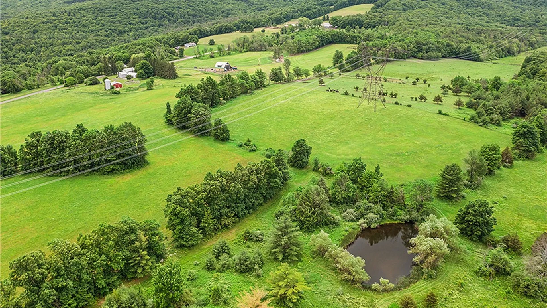 Property at 378 Route 354, Rensselaerville, NY 12469 20