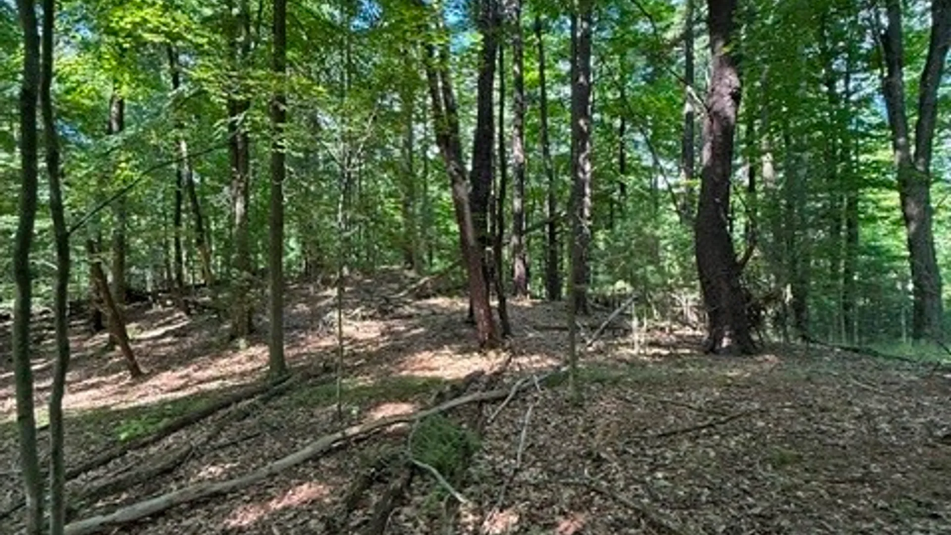 Property at 0 South Glenora Road, Starkey, NY 14837 15