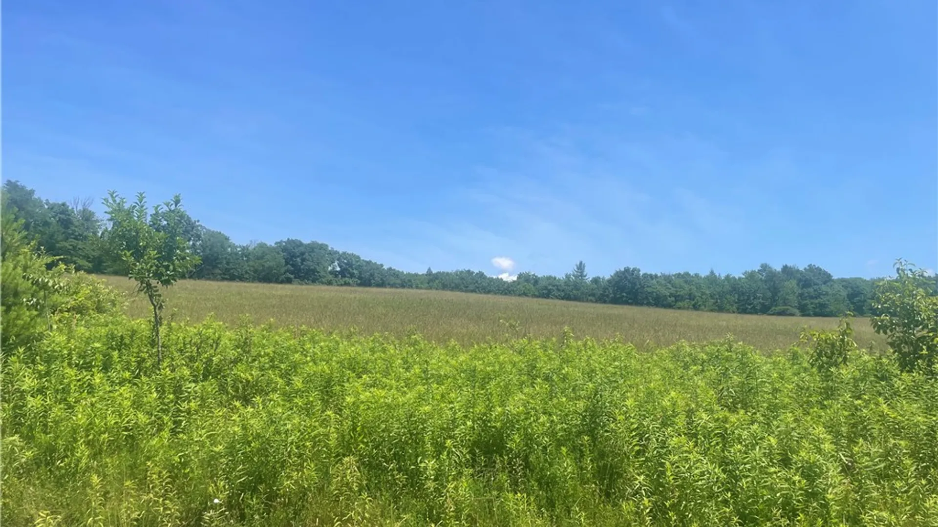 Property at Schlafer Road, Guilford, NY 13780 6