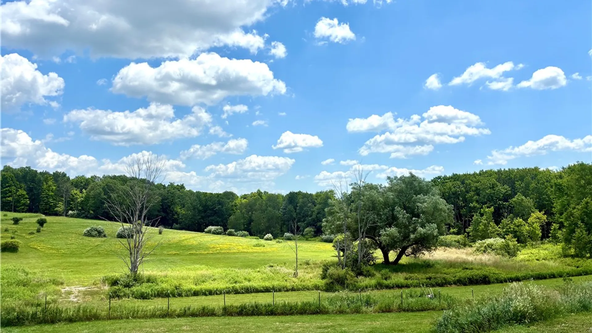 Property at 4758 Tucker Road, Thurston, NY 14821 42