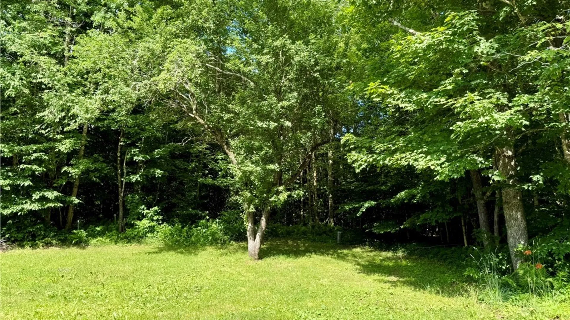 Property at 631 Witzigman Road, Lewis, NY 13489 30