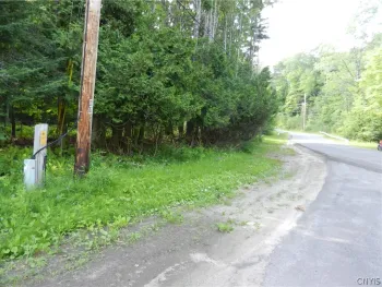 Property at 00 Bingham Mills Rd, Salisbury, NY 13470