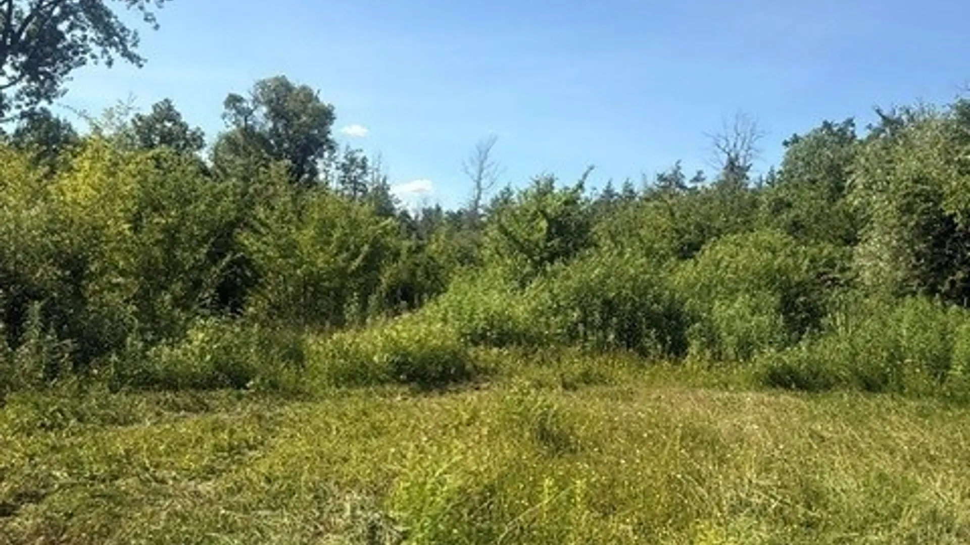 Property at Townline Road, Rome, NY 13440 10