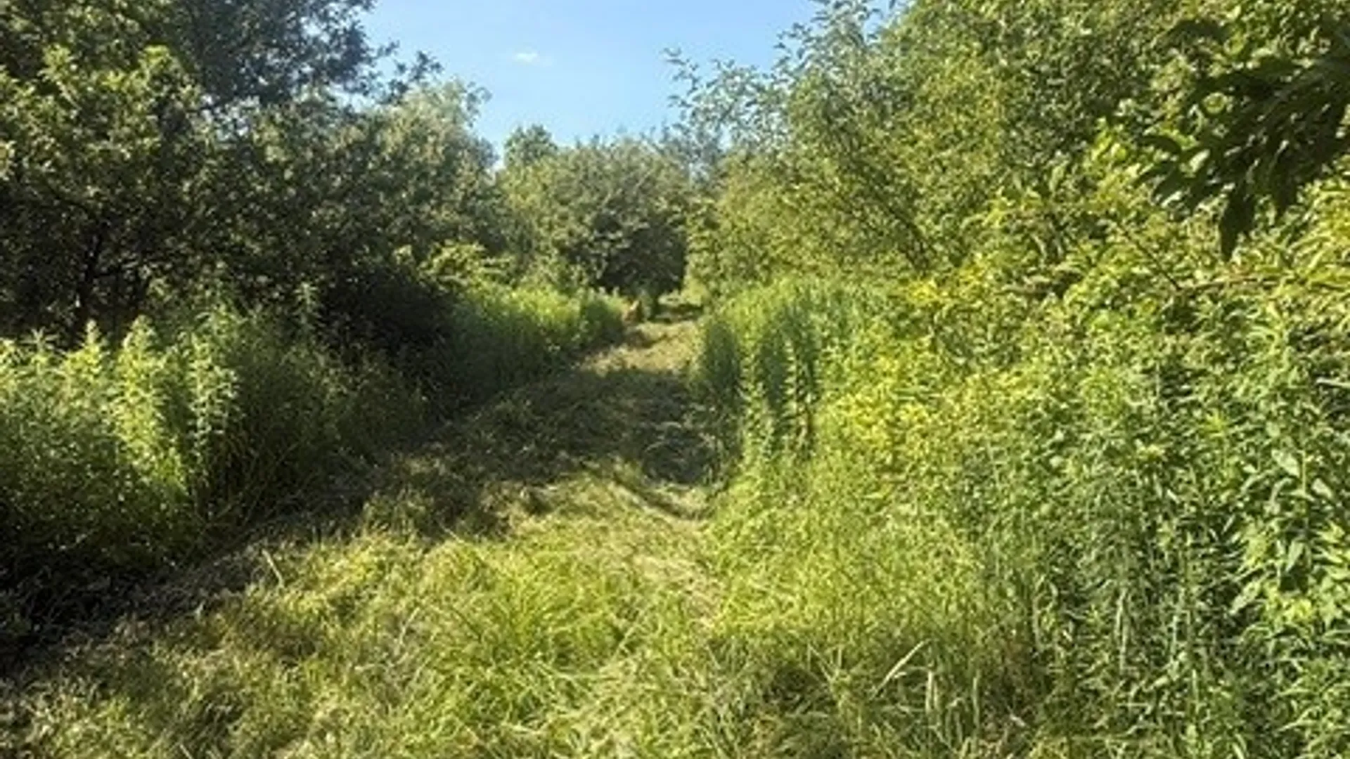 Property at Townline Road, Rome, NY 13440 12