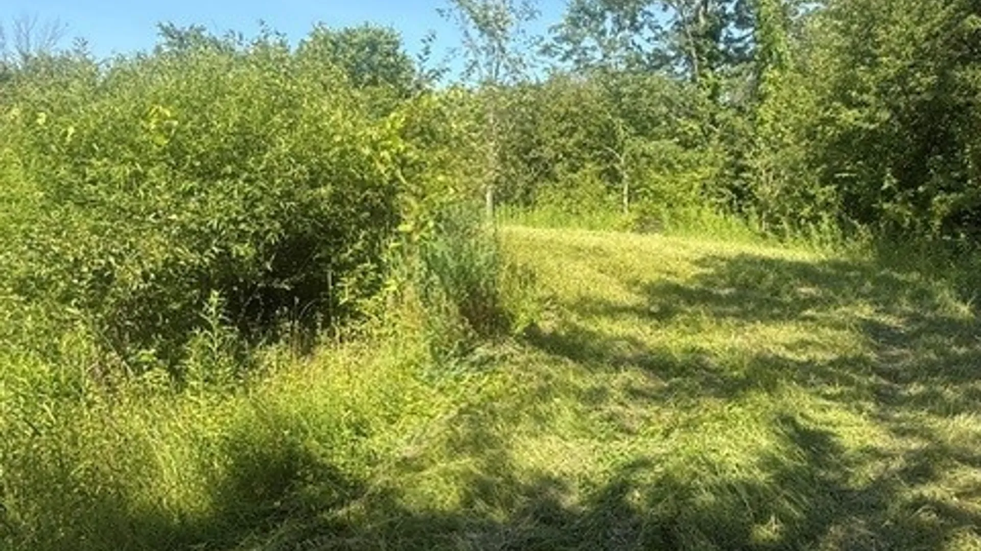 Property at Townline Road, Rome, NY 13440 8