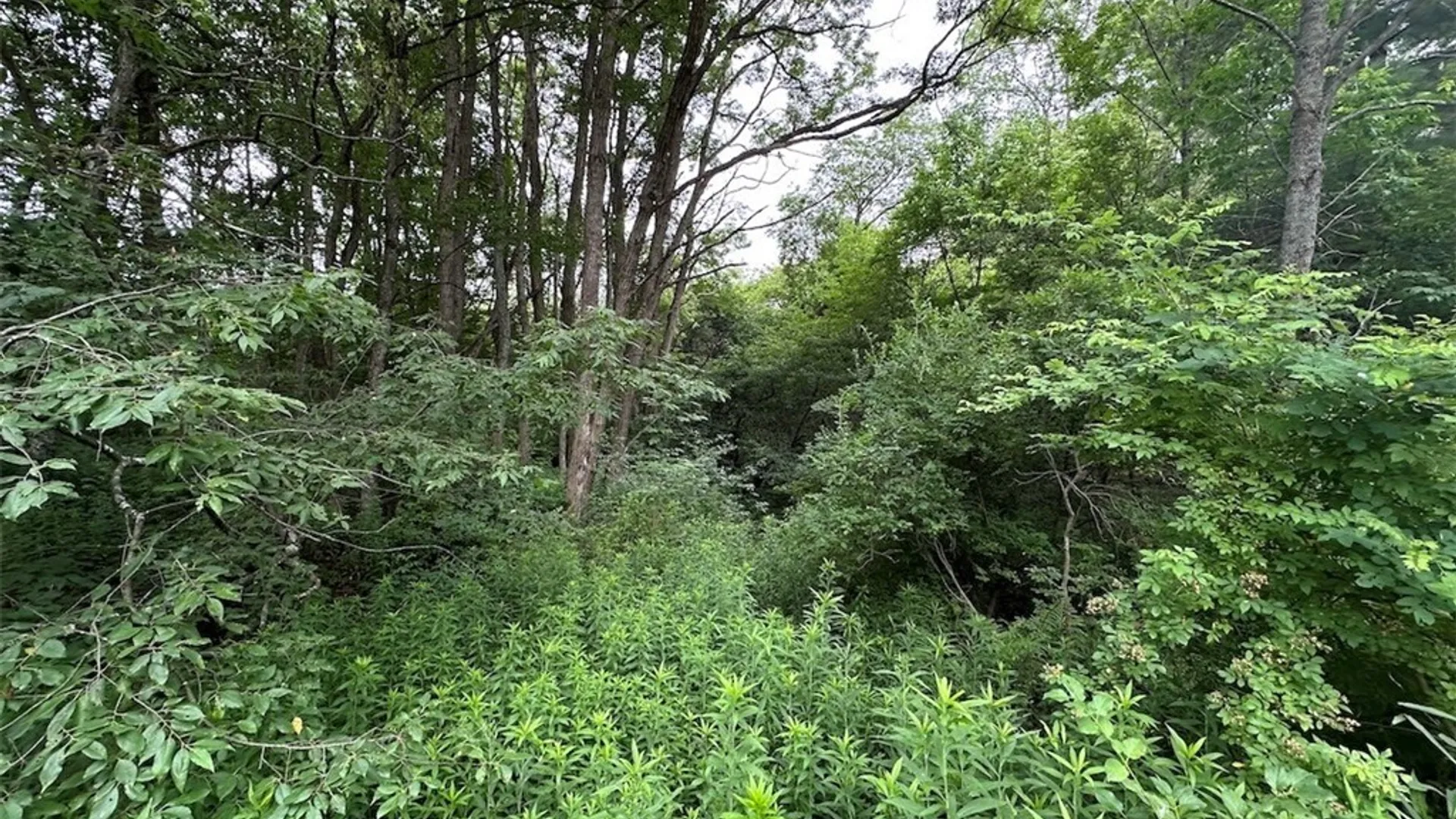 Property at Flat Iron Road, Granger, NY 14846 10