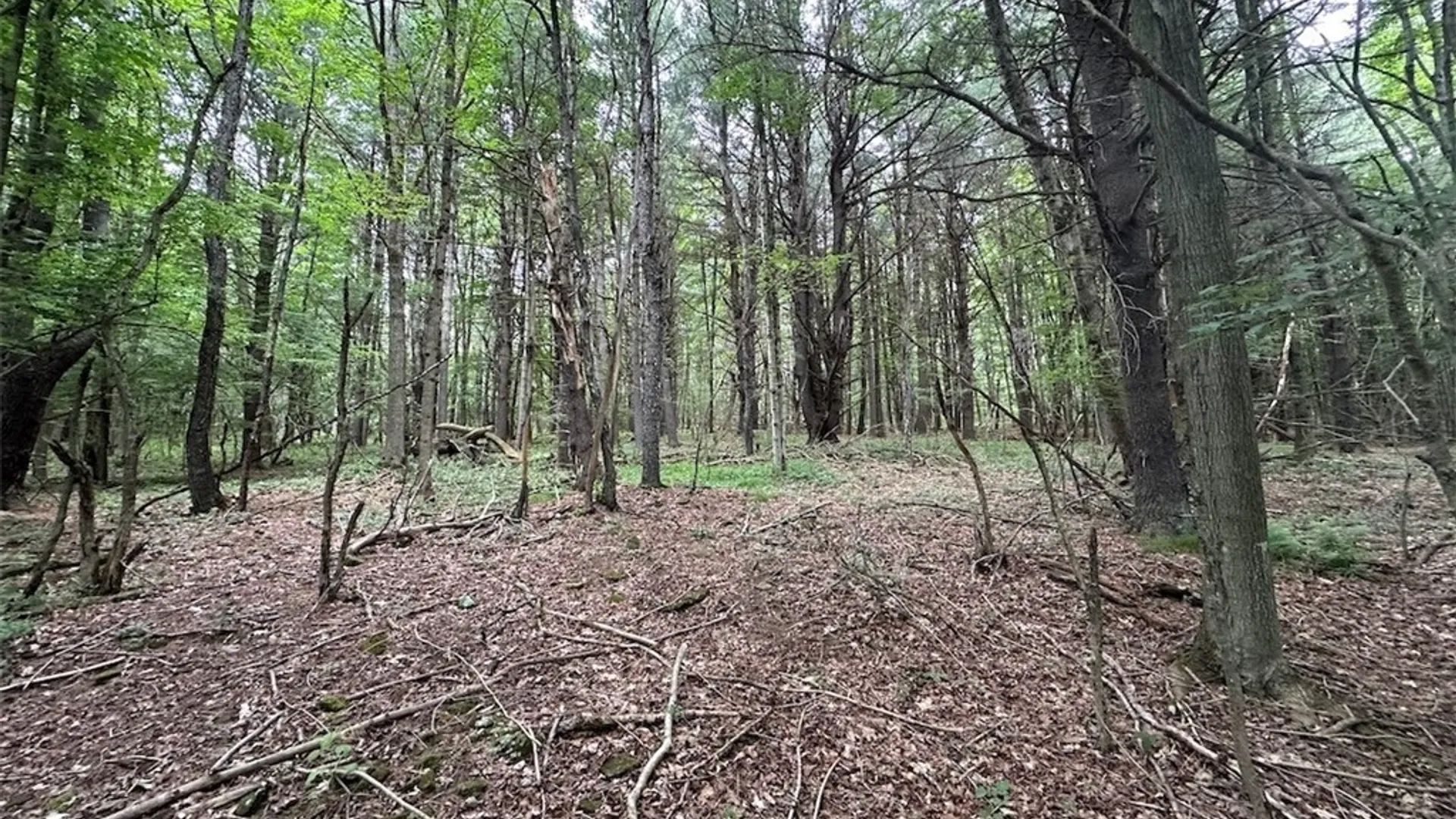 Property at Flat Iron Road, Granger, NY 14846 12