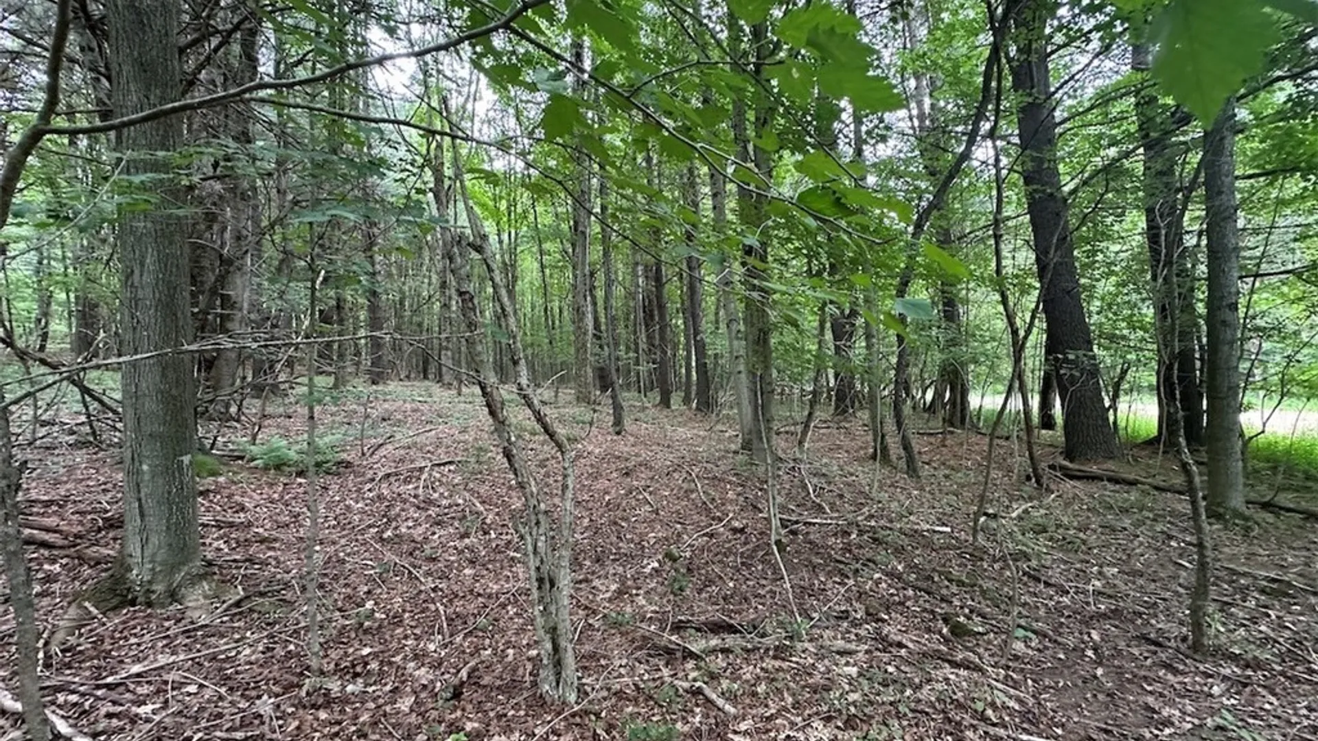 Property at Flat Iron Road, Granger, NY 14846 13