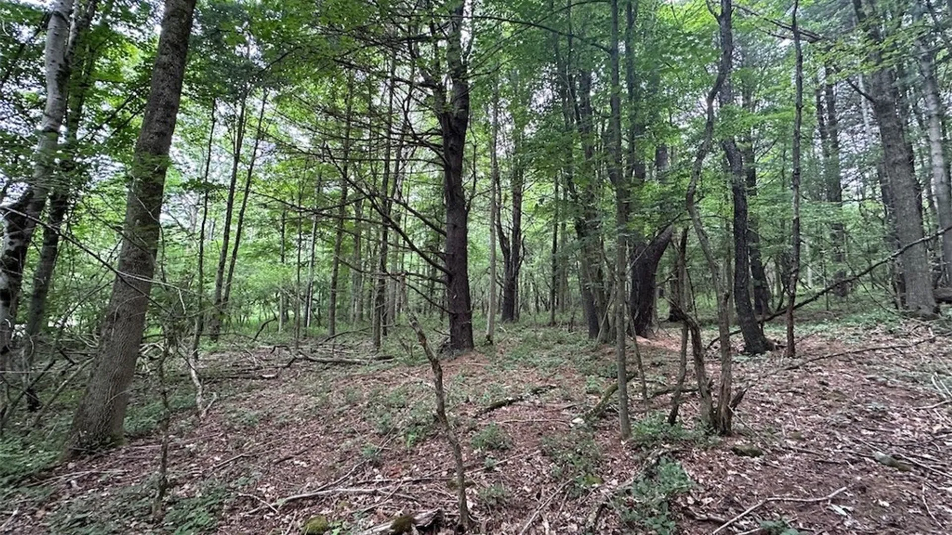 Property at Flat Iron Road, Granger, NY 14846 14