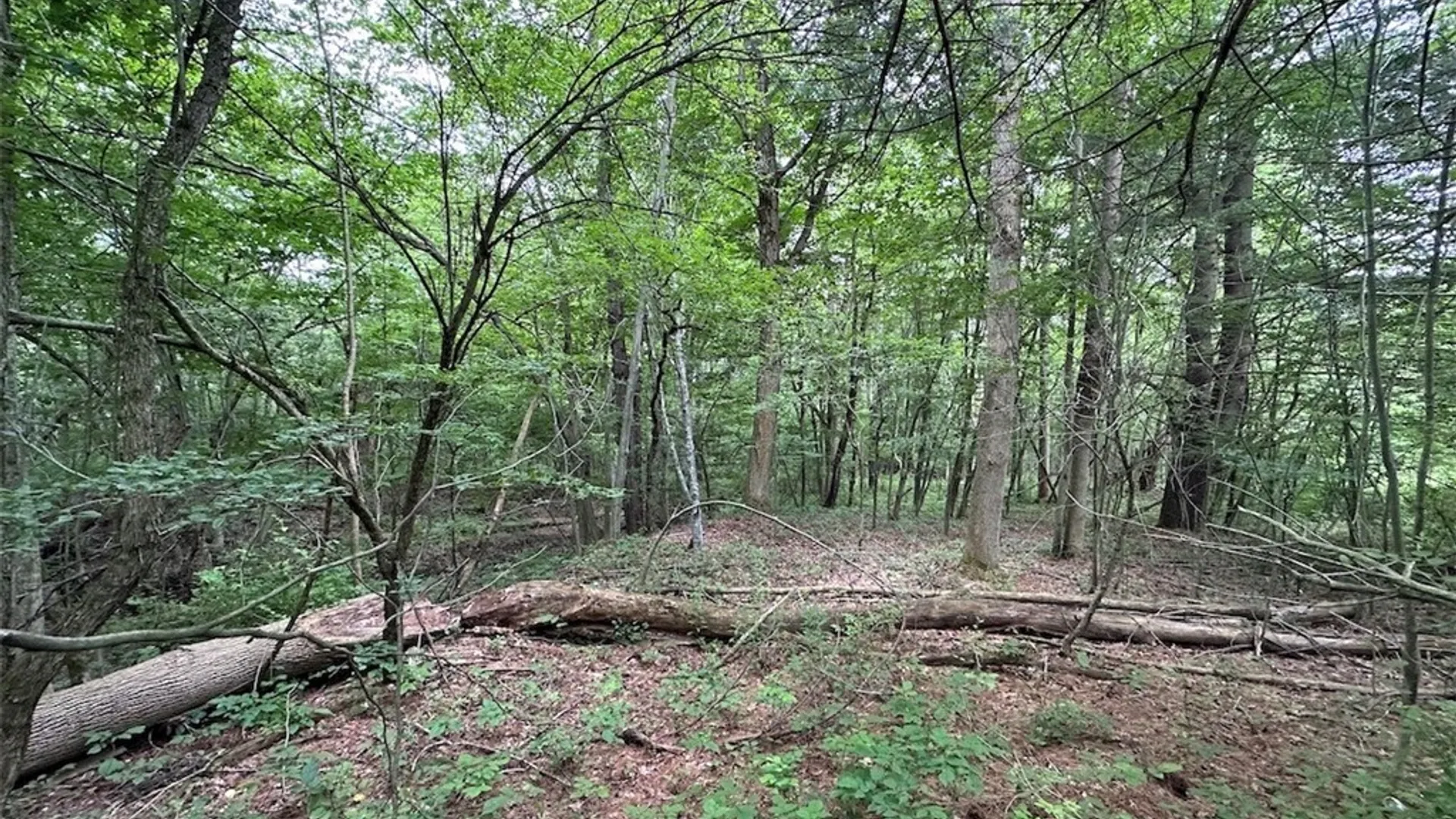 Property at Flat Iron Road, Granger, NY 14846 2