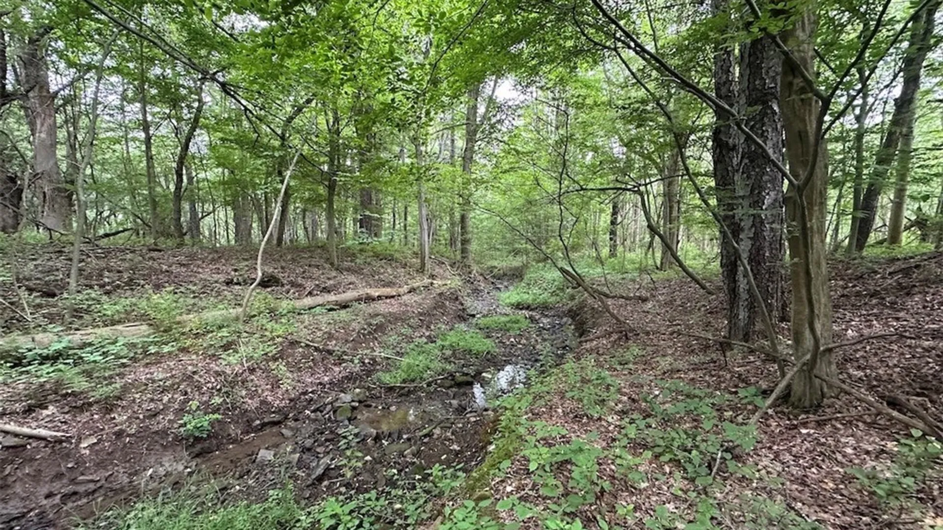 Property at Flat Iron Road, Granger, NY 14846 3