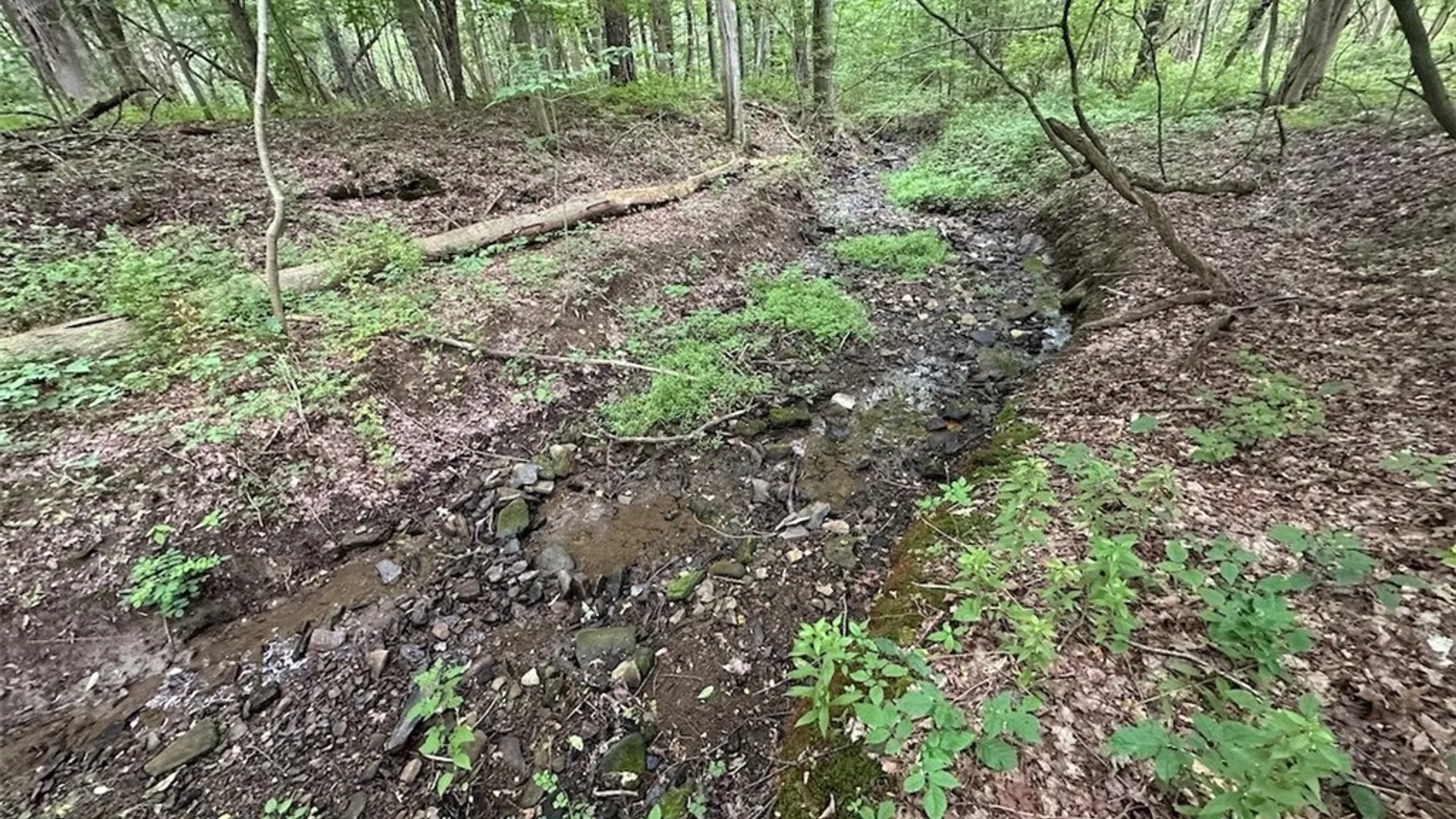 Property at Flat Iron Road, Granger, NY 14846 4