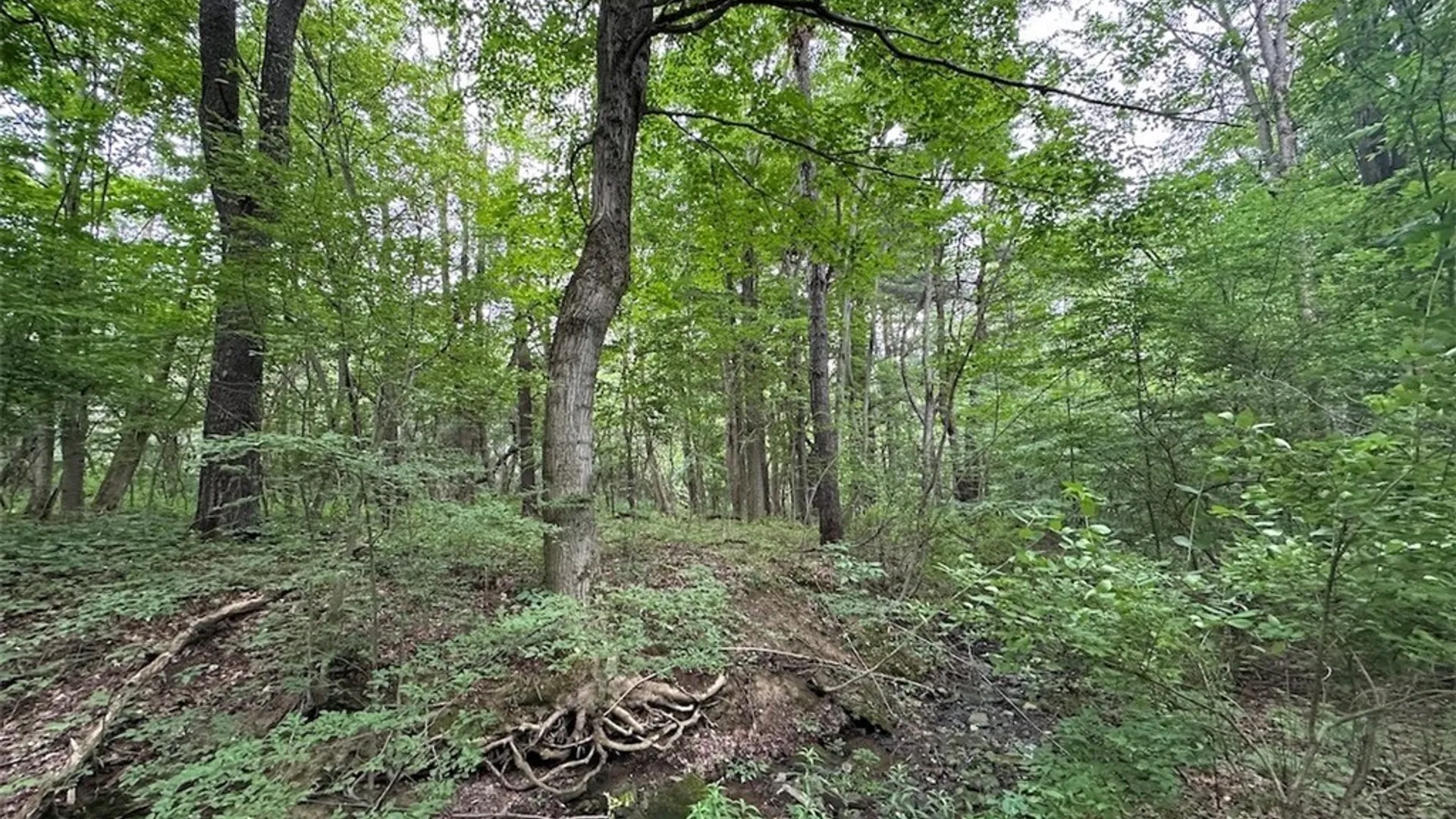 Property at Flat Iron Road, Granger, NY 14846 5