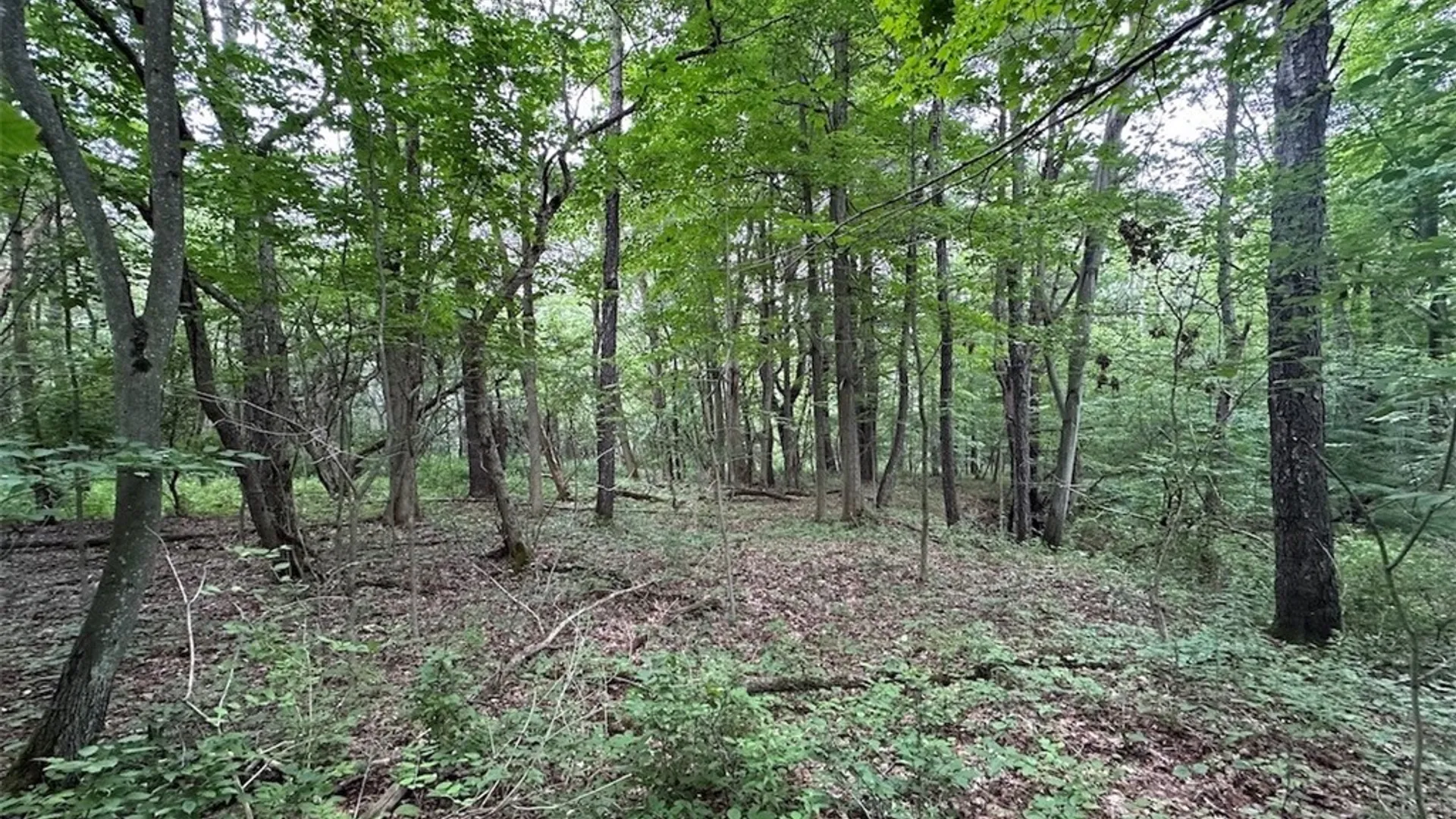 Property at Flat Iron Road, Granger, NY 14846 6