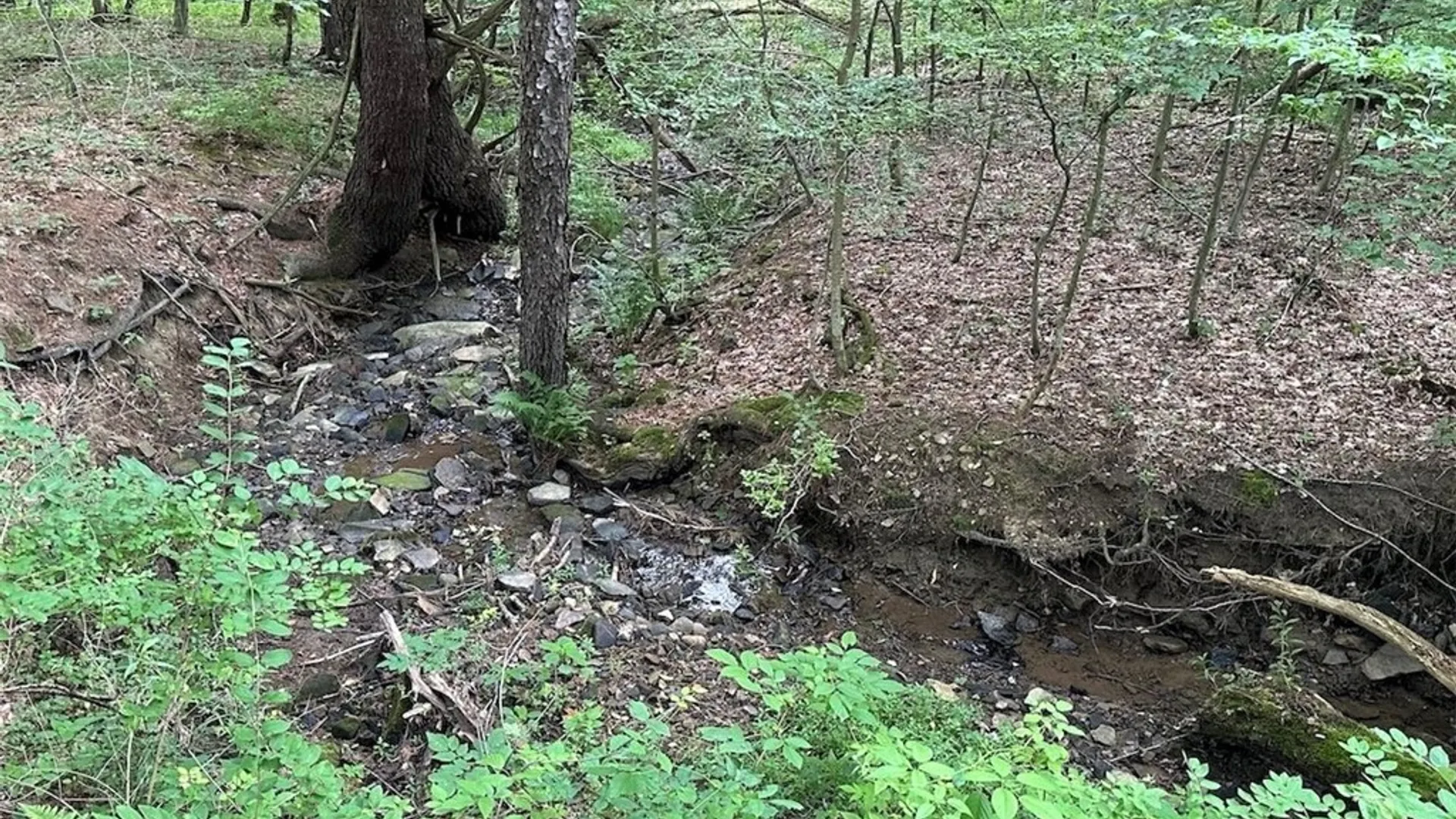 Property at Flat Iron Road, Granger, NY 14846 7