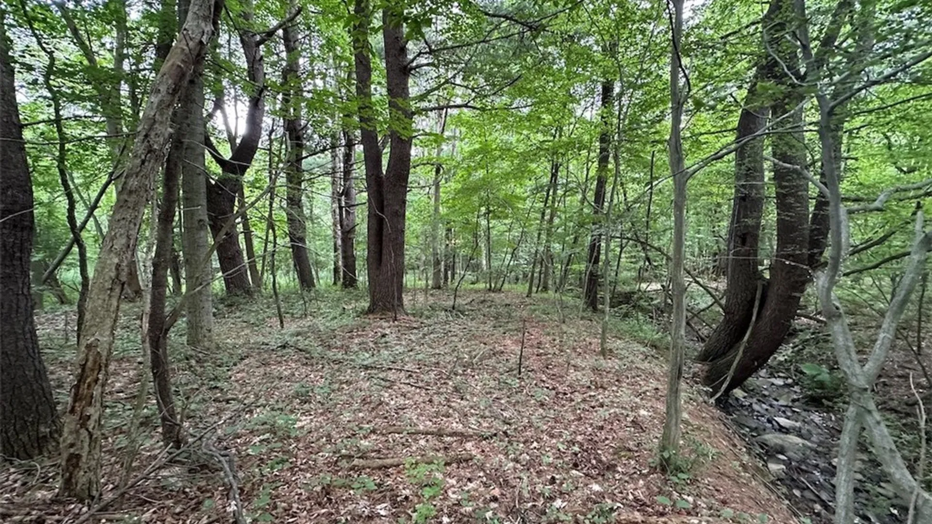 Property at Flat Iron Road, Granger, NY 14846 8