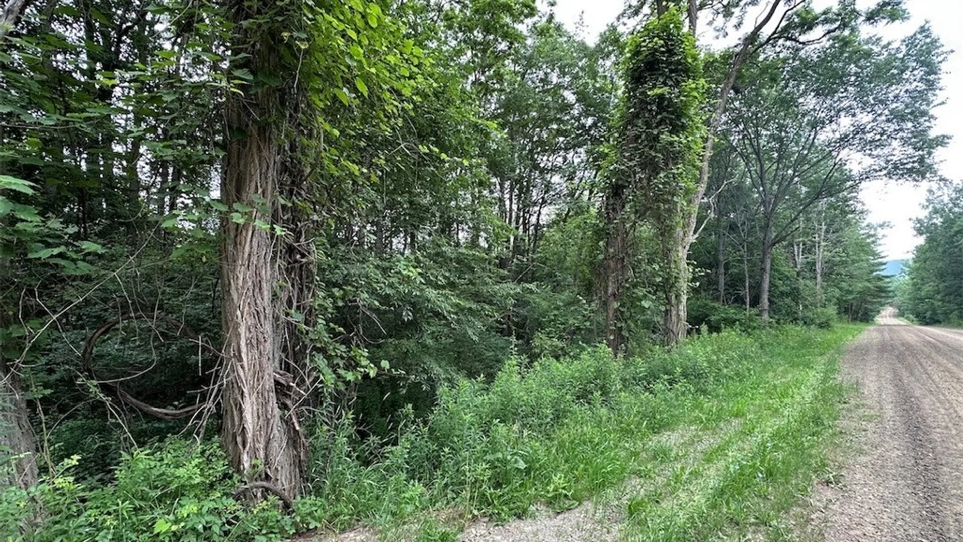 Property at Flat Iron Road, Granger, NY 14846 9