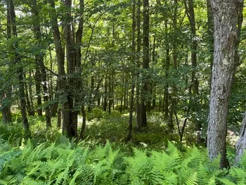 Property at West Highland Road, Stamford, NY 12167