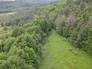 Property at 0 Hornell Reservoir Road, Fremont, NY 14843