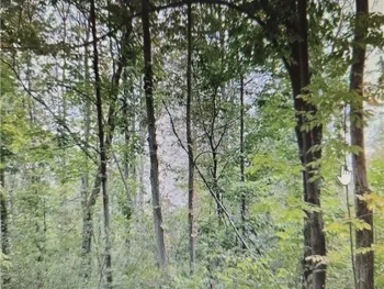 Property at 5 W Rt-5, Portland, NY 14769