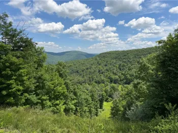 Property at VL Catatunk Road, Canisteo, NY 14823