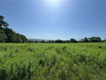 Property at Wilbur Hill Road, Butternuts, NY 13776