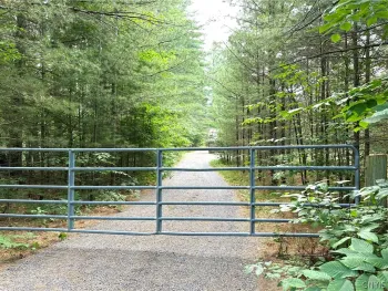 Property at 7528 N Chases Lake Road, Watson, NY 13343