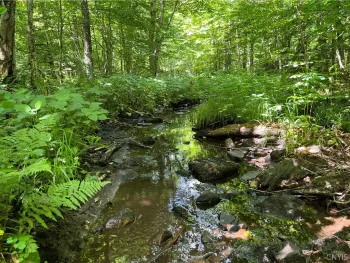 Property at E of Town Line Road, Worth, NY 13659