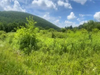Property at Bramley Mountain Road, Delhi, NY 13753