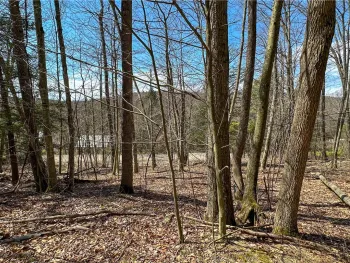 Property at 1232 Bell Hill Road, Lindley, NY 14858