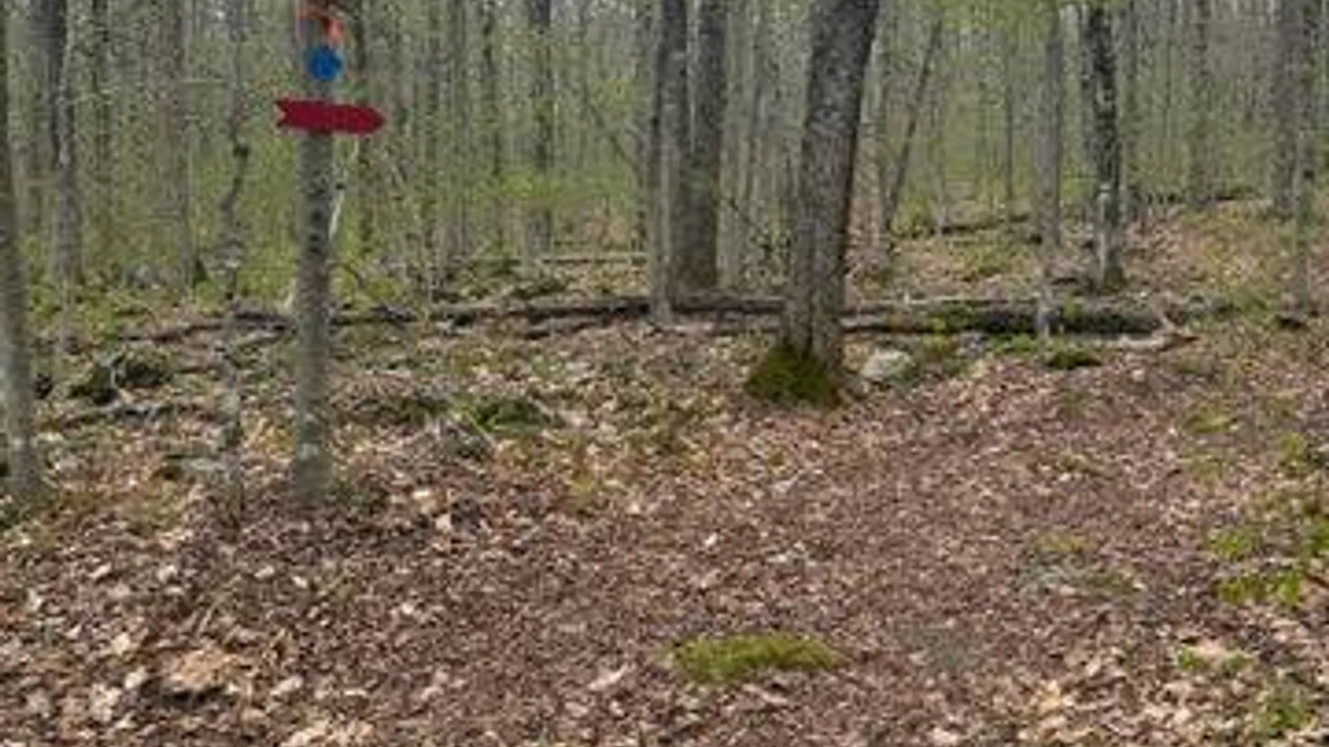 Property at 323 N. Shore Rd Peck Lake, Gloversville, NY 12078 44