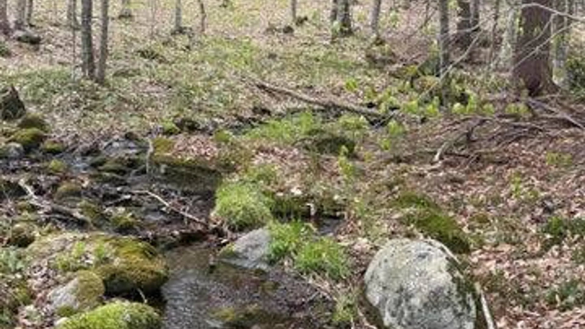 Property at 323 N. Shore Rd Peck Lake, Gloversville, NY 12078 45