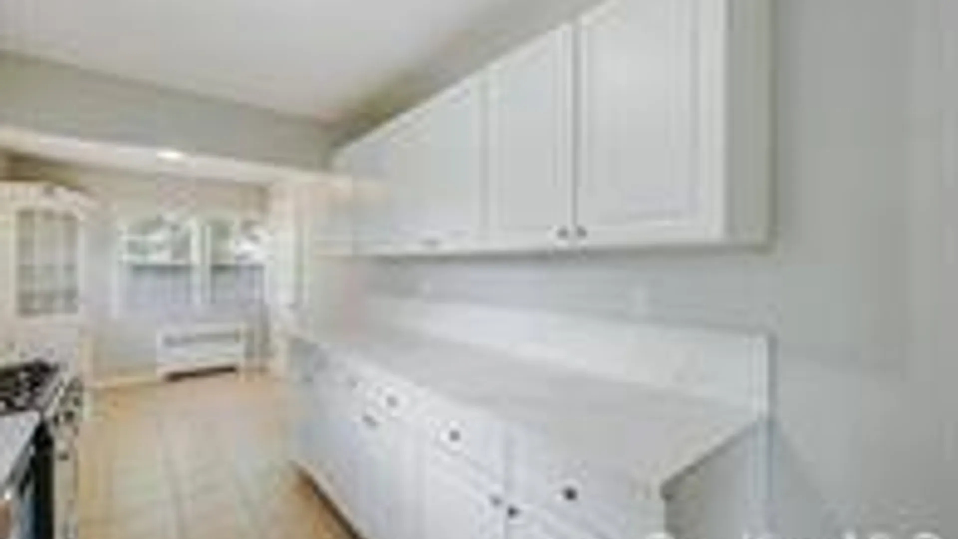 Property at 202 Nevada Street, Hicksville, NY 11801 17