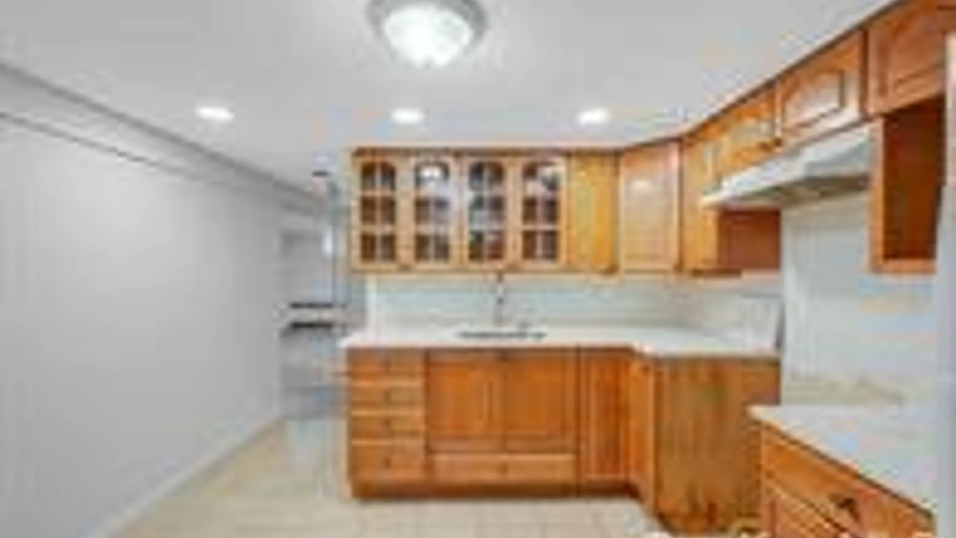 Property at 202 Nevada Street, Hicksville, NY 11801 46